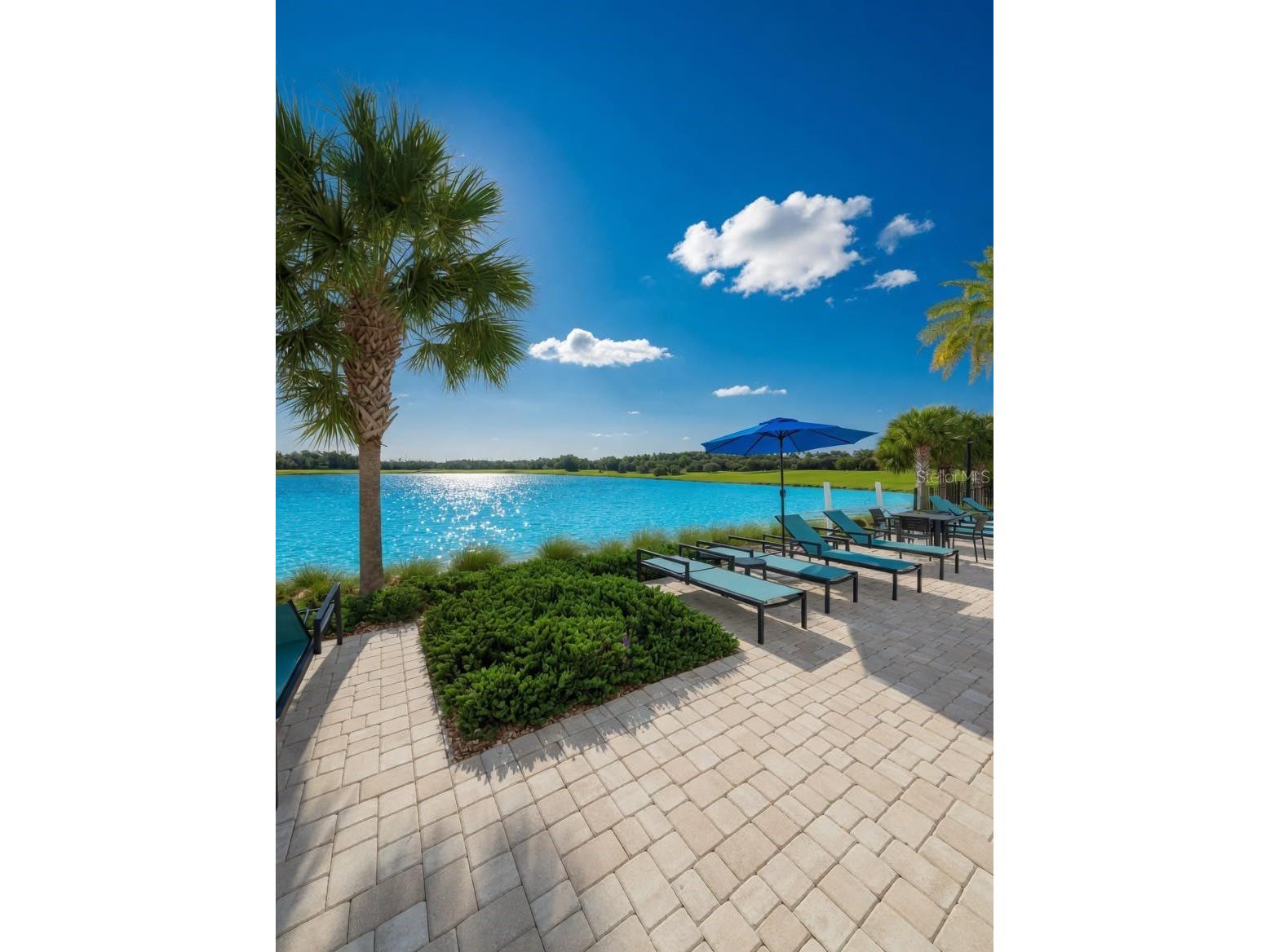 2822 Bigleaf Maple Drive Ocoee FL 34761 O6414718 image23
