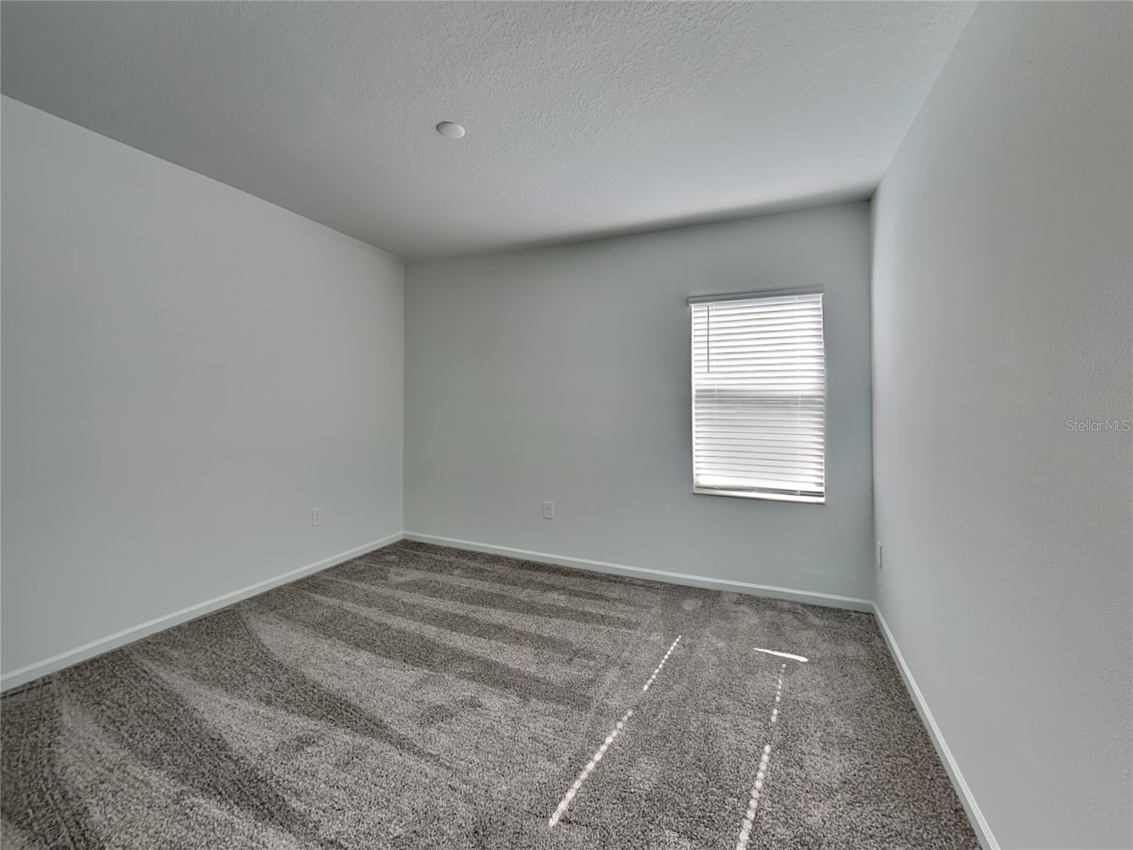 2822 Fitness Street Clermont FL 34714 O6394399 image14