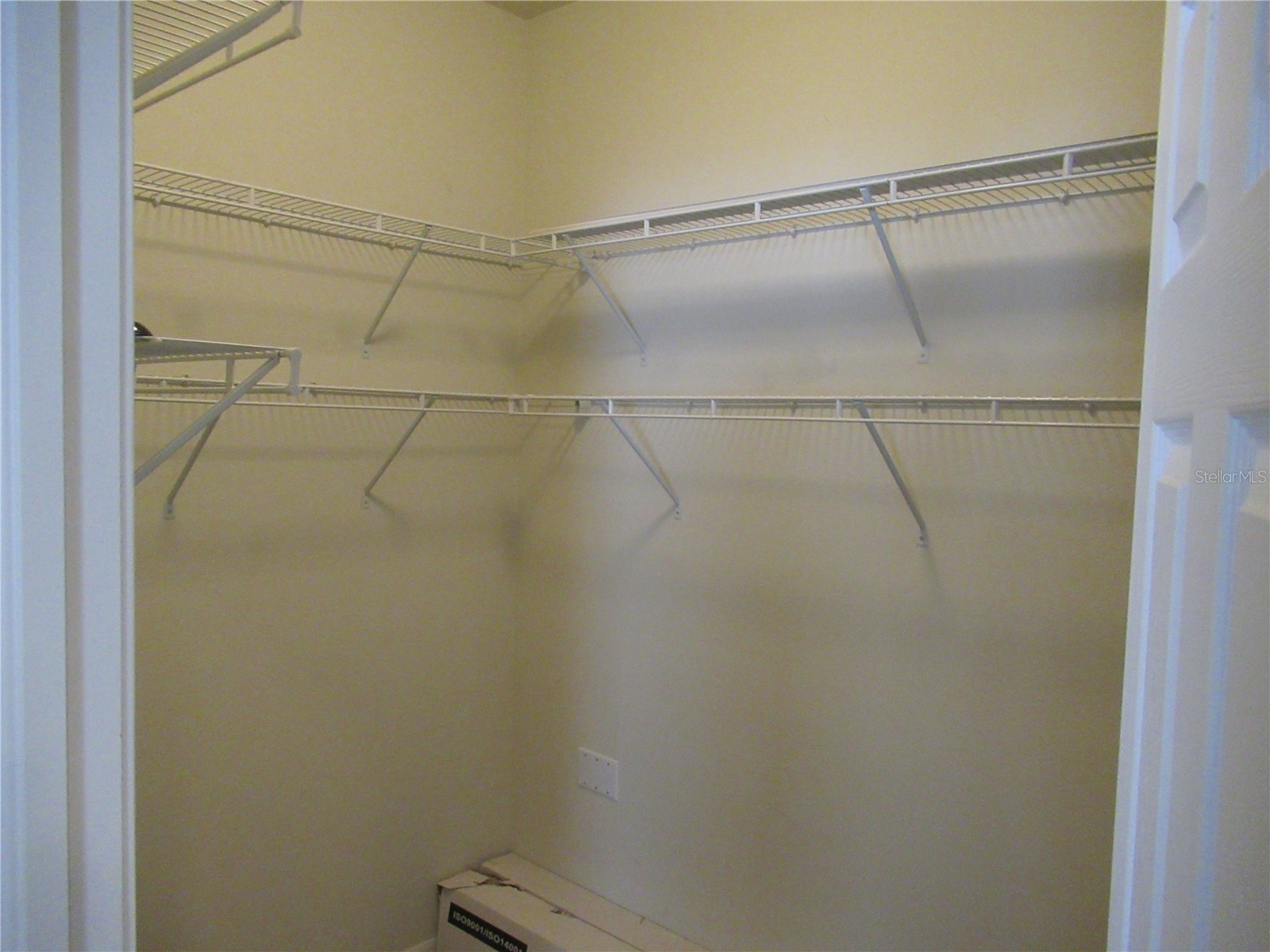 2822 Maple Brook Loop Lutz FL 33558 TB8525014 image17