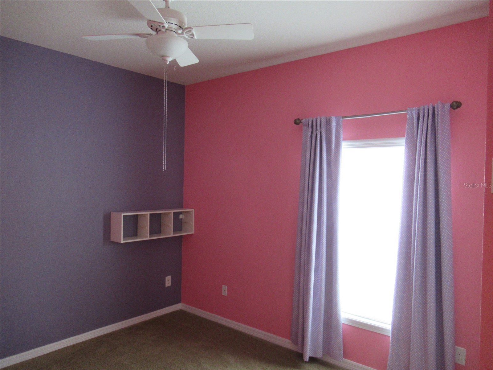 2822 Maple Brook Loop Lutz FL 33558 TB8525014 image22