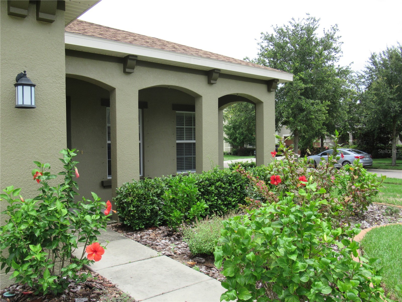 2822 Maple Brook Loop Lutz FL 33558 TB8525014 image3