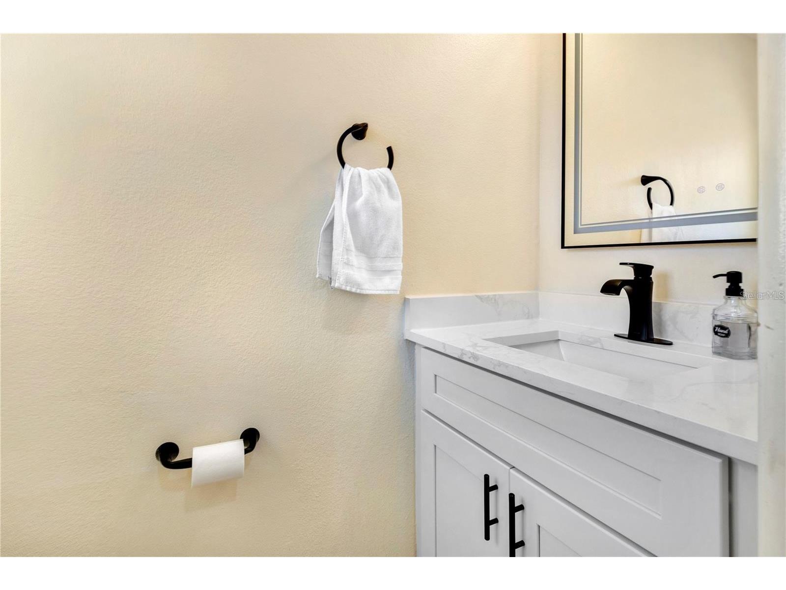 2823 Boulder Falls Court Apopka FL 32703 O6397080 image9