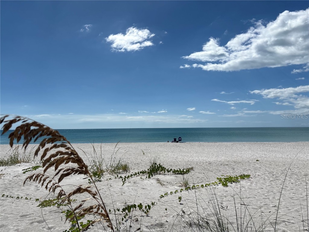 2823 Gulf Of Mexico Drive Longboat Key FL 34228 A4667245 image39