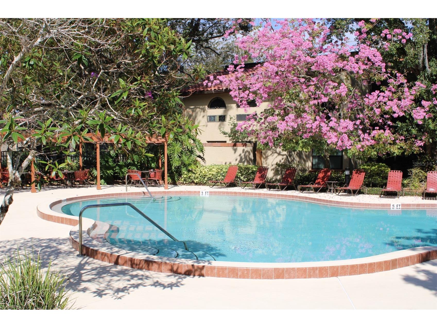 2823 Marsala Court #2823 Orlando FL 32806 - LAKE PINELOCH; LAKE WILLISARA O6394387 image29