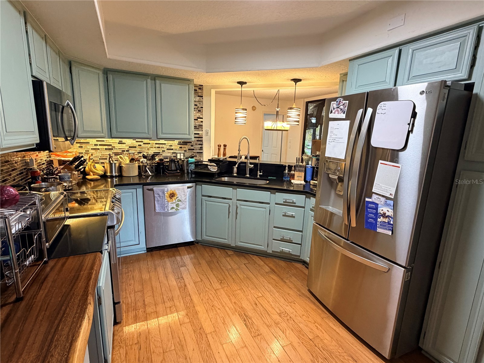 2823 Marsala Court #2823 Orlando FL 32806 - LAKE PINELOCH; LAKE WILLISARA O6394387 image3