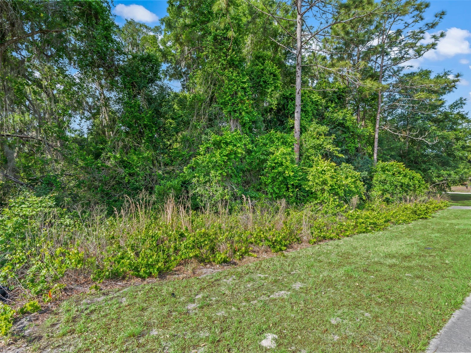 2823 W C 48 Bushnell FL 33513 G5111834 image4