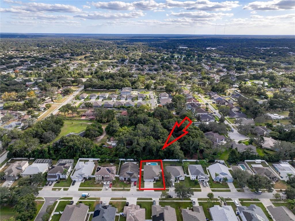 2823 Windcrest Oaks Court Valrico FL 33594 TB8439440 image40