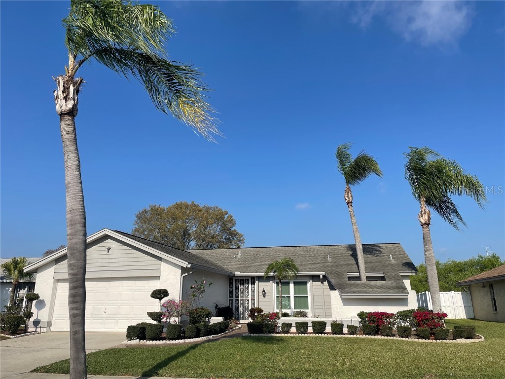 2823 Windridge Drive Holiday FL 34691 T3431377 image1