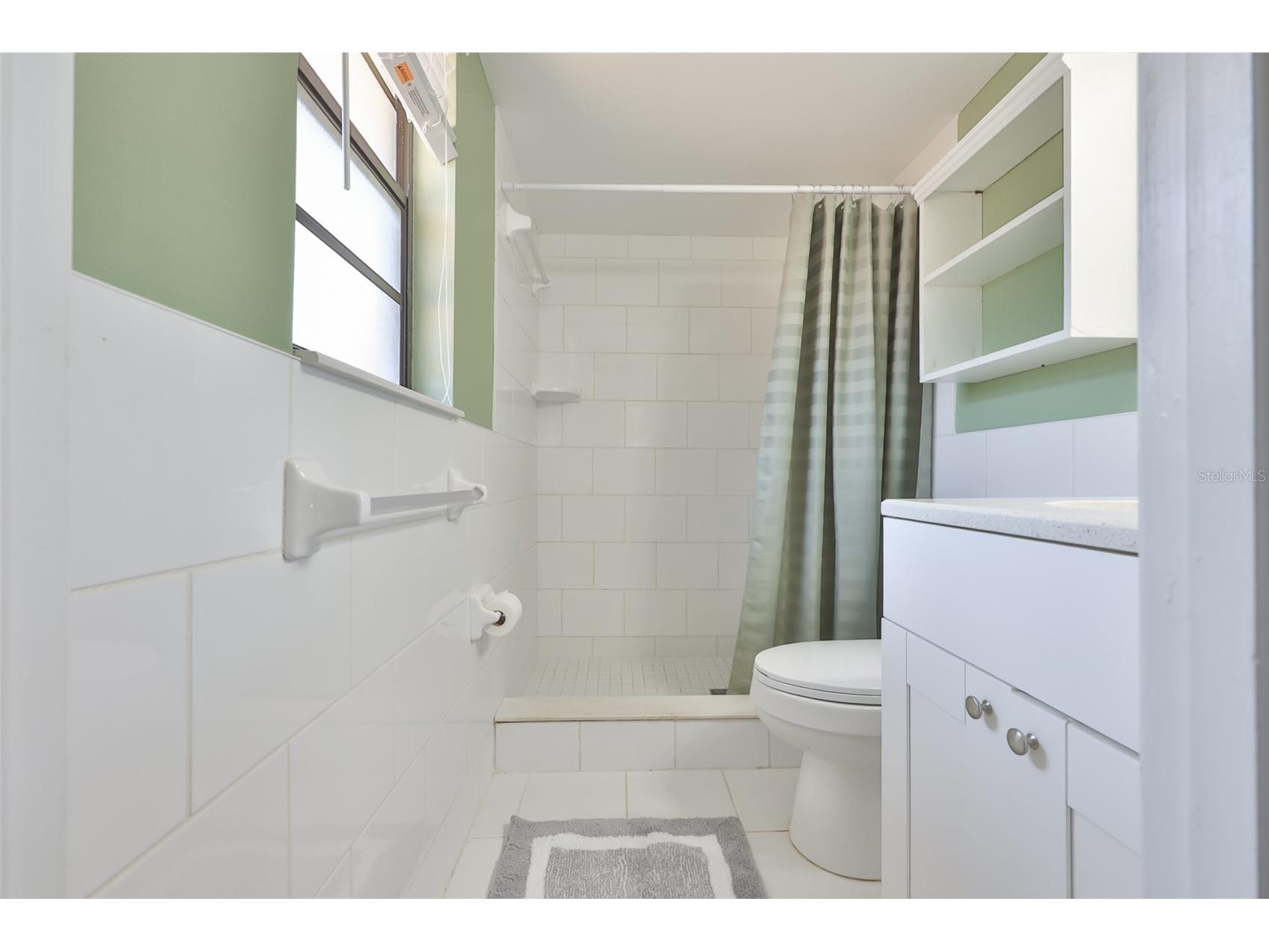 2824 Bellwood Drive Brandon FL 33511 TB8509162 image40