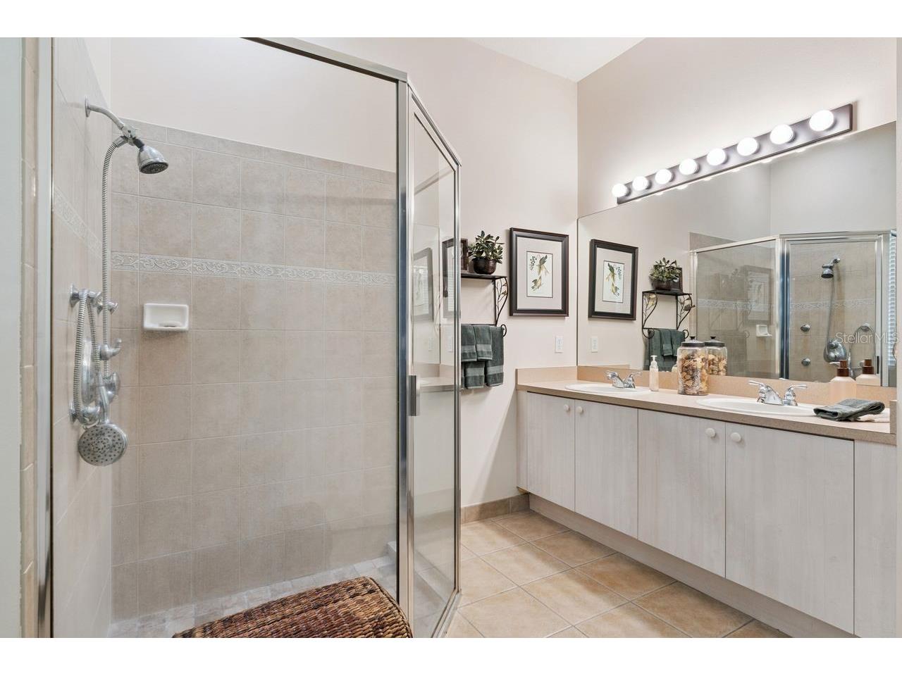 2824 Majestic Isle Drive Clermont FL 34711 O6407892 image12