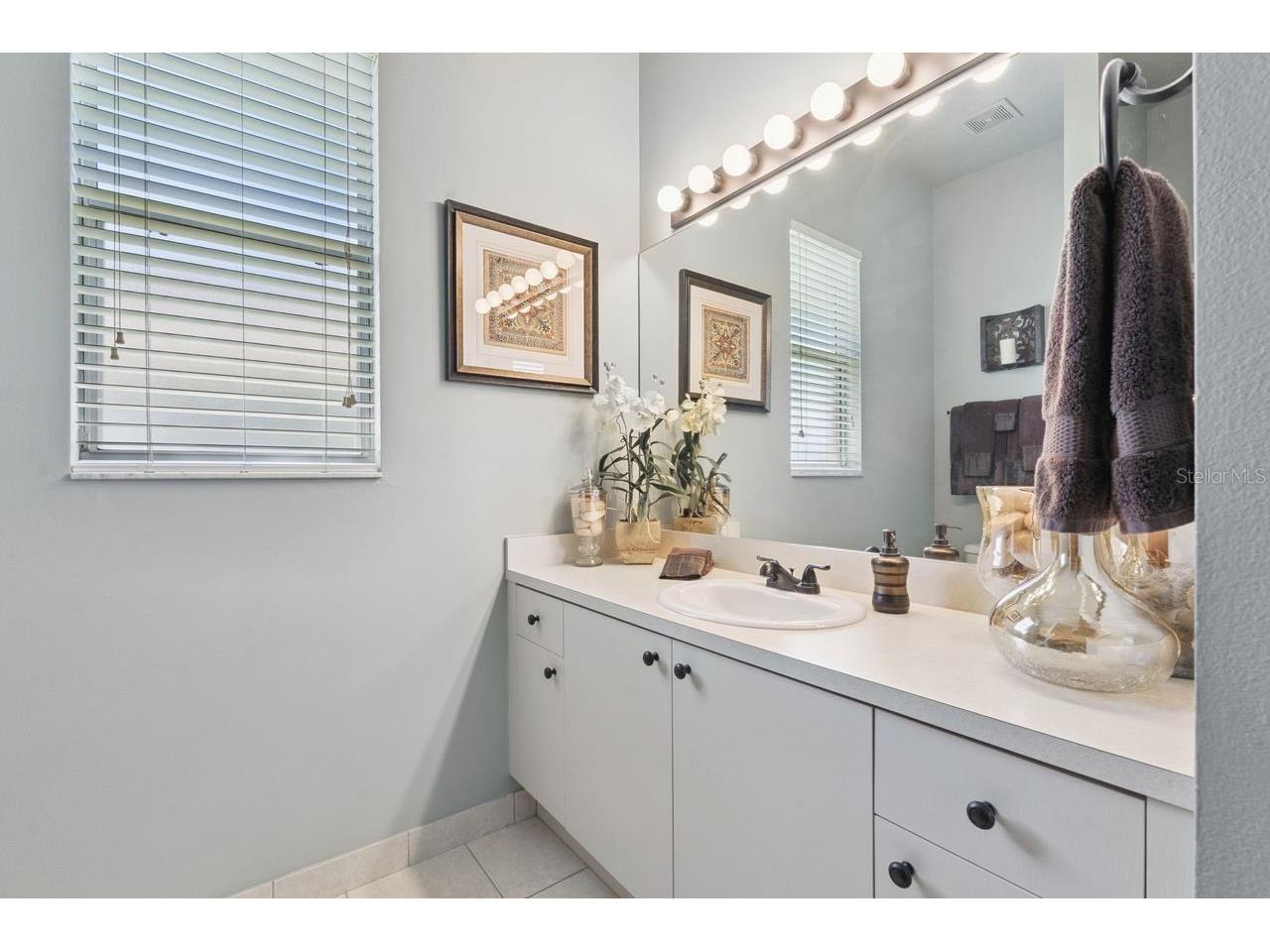 2824 Majestic Isle Drive Clermont FL 34711 O6407892 image15