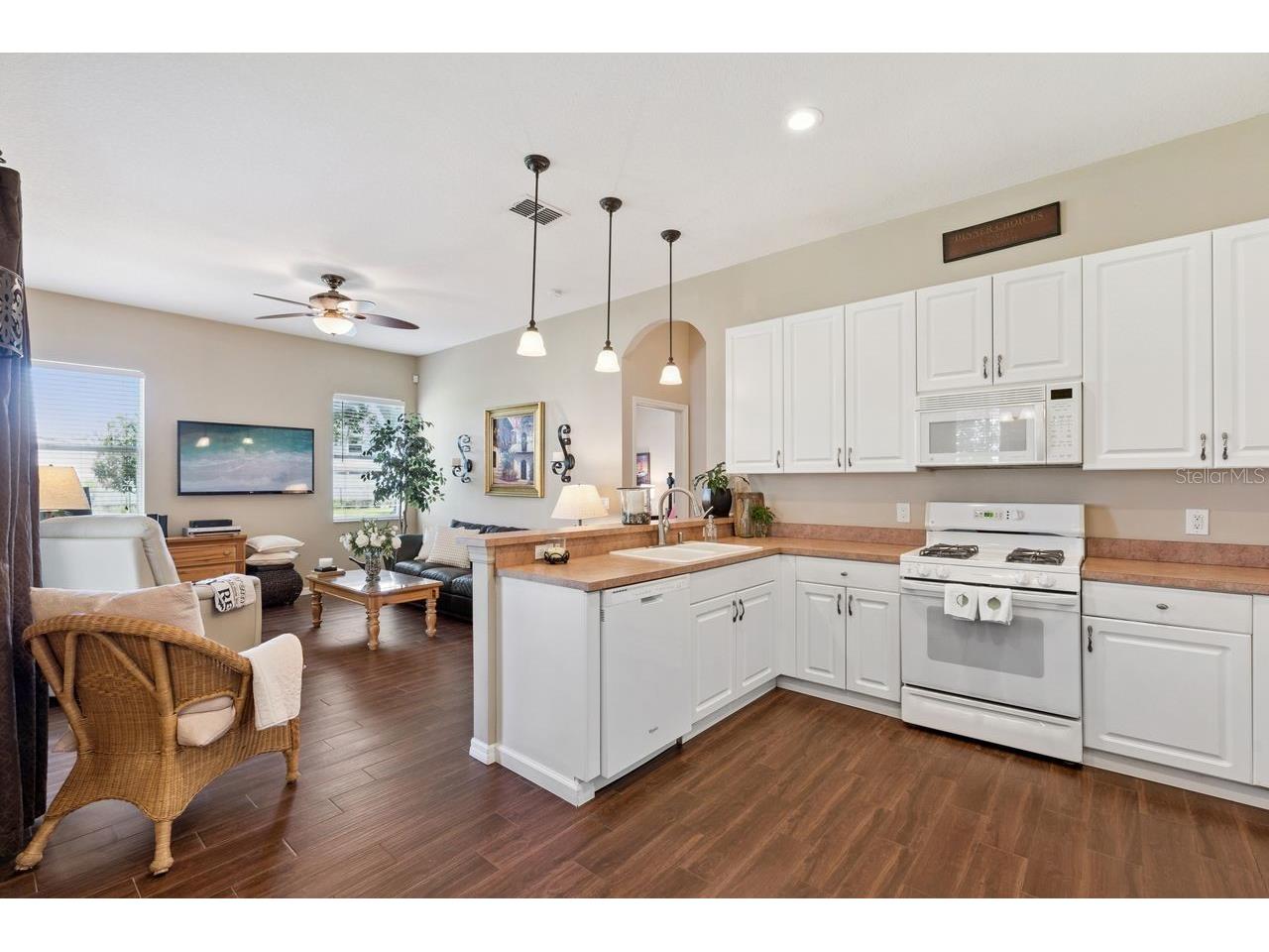2824 Majestic Isle Drive Clermont FL 34711 O6407892 image9