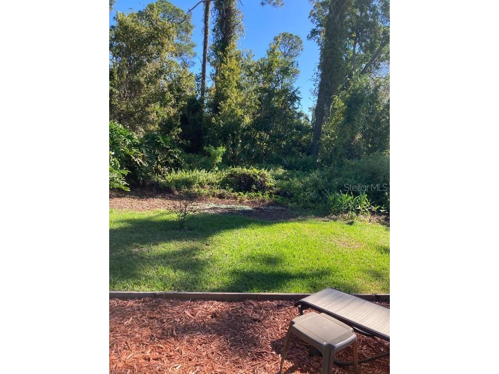 2824 Manatee Road Tavares FL 32778 O6359718 image10