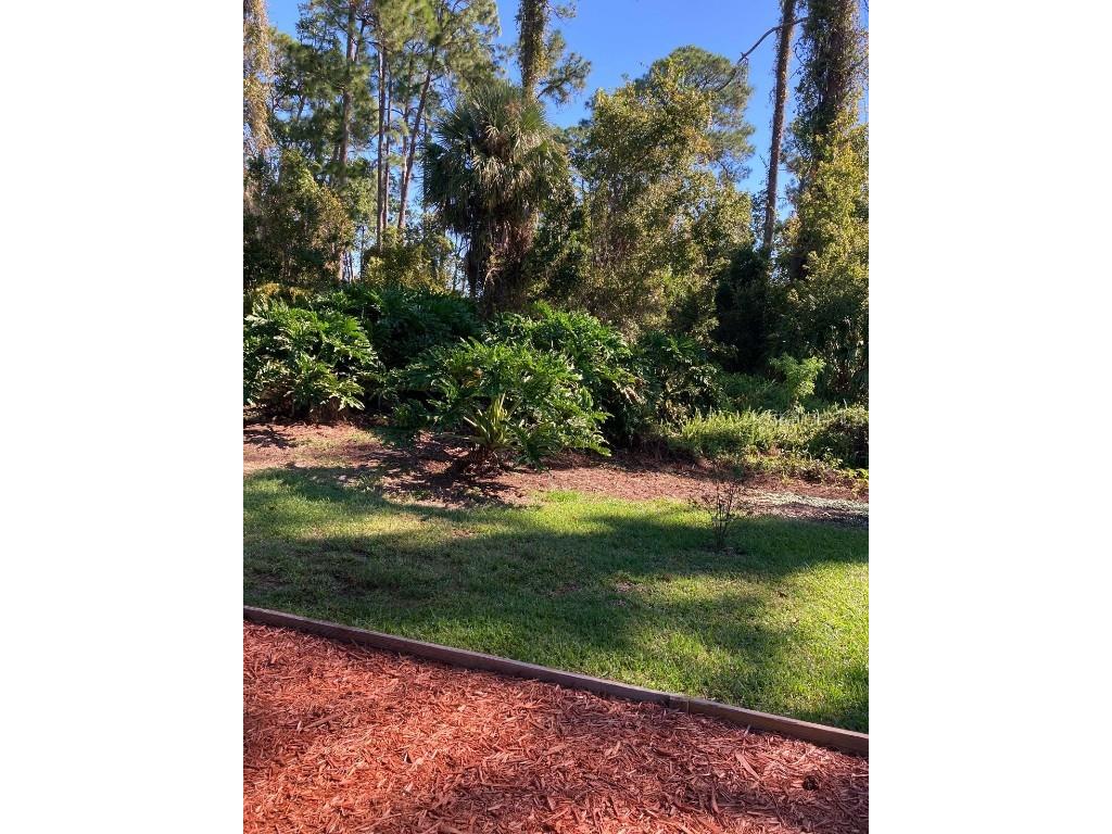 2824 Manatee Road Tavares FL 32778 O6359718 image11