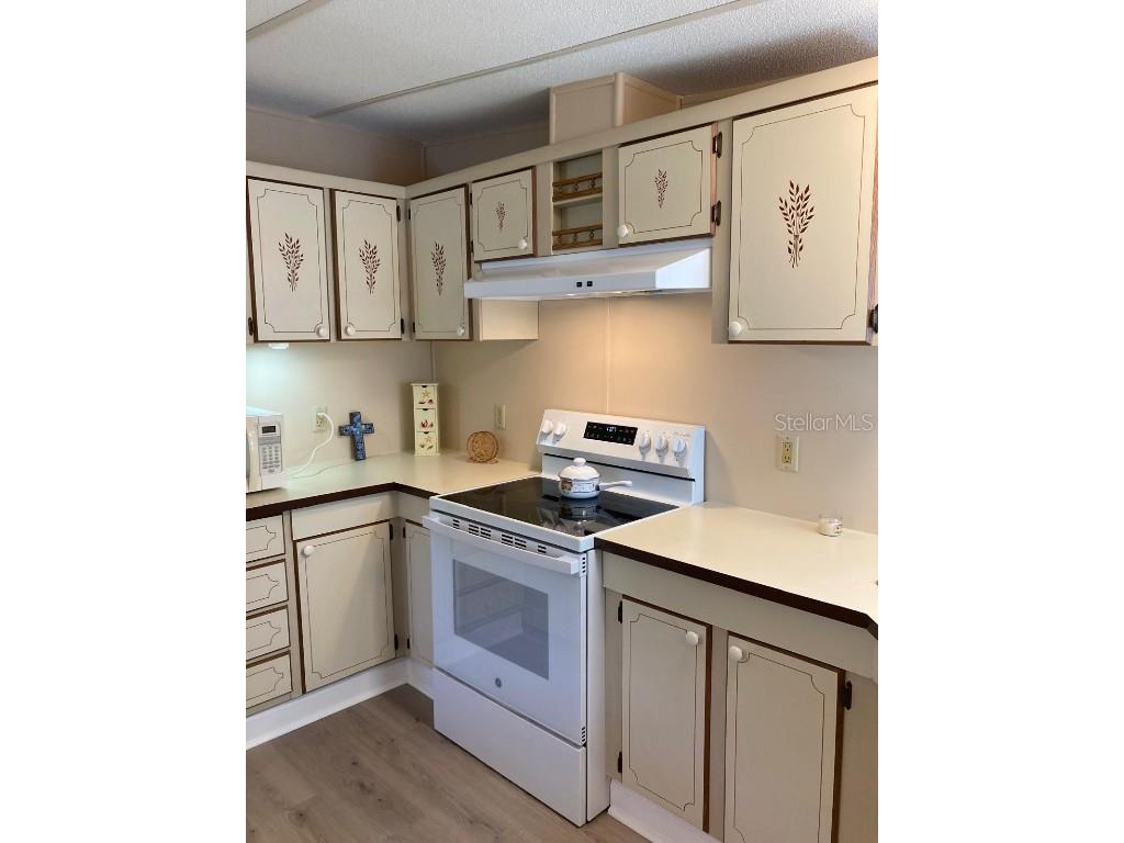 2824 Manatee Road Tavares FL 32778 O6359718 image12