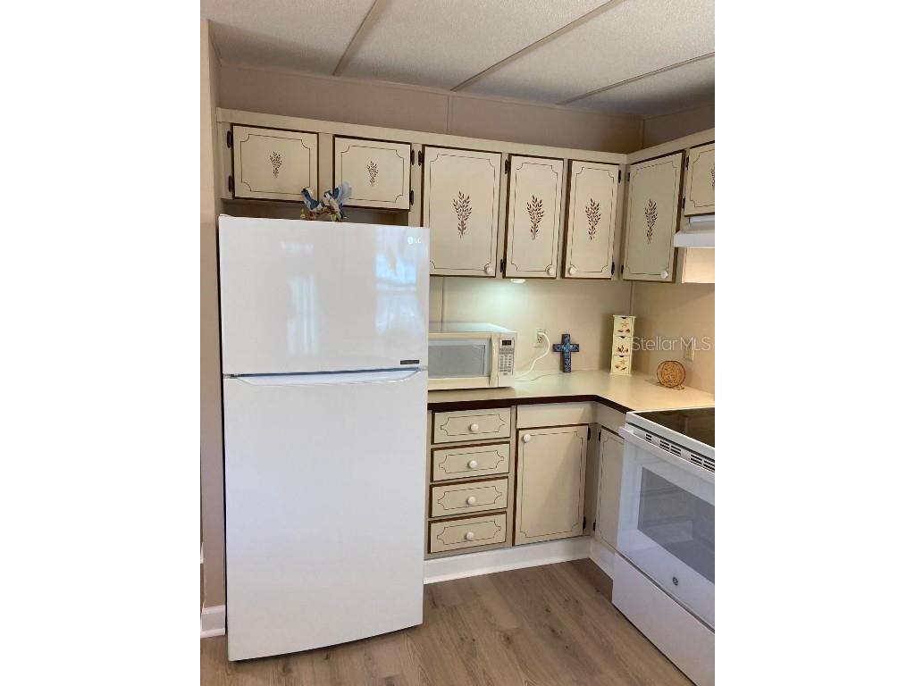 2824 Manatee Road Tavares FL 32778 O6359718 image13