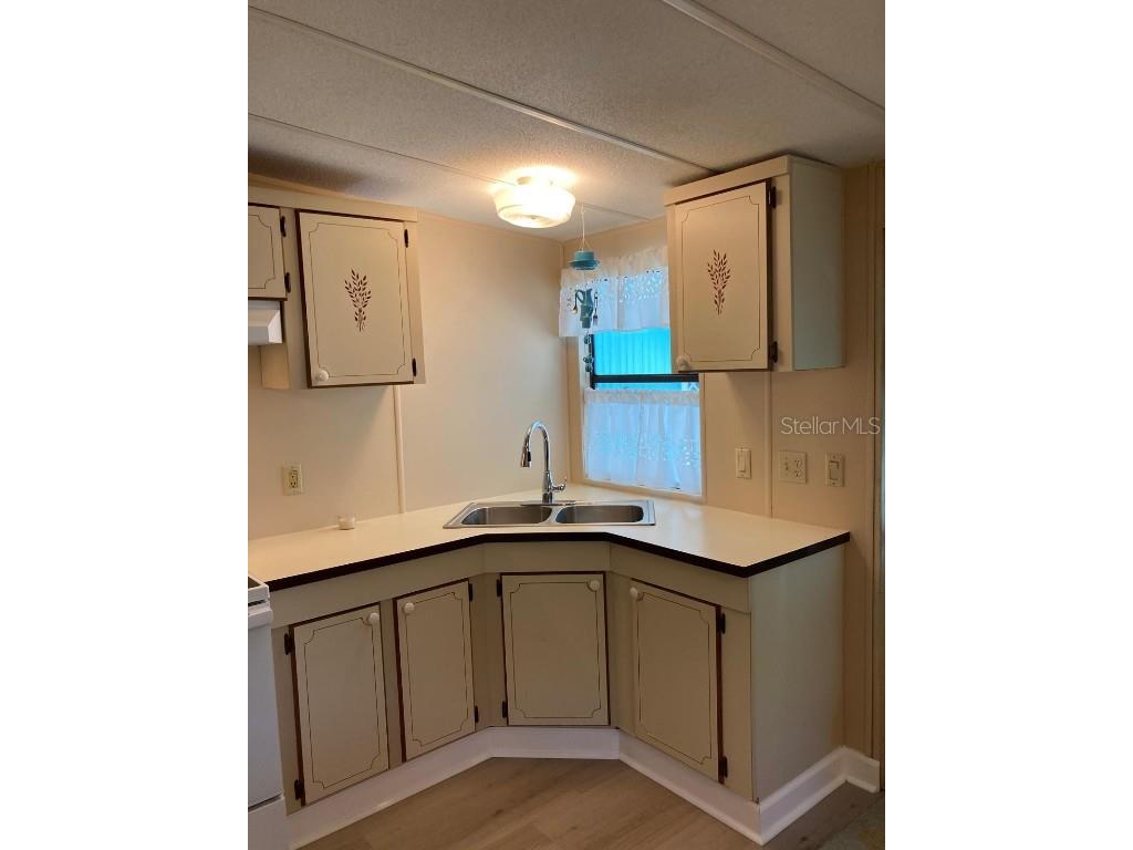 2824 Manatee Road Tavares FL 32778 O6359718 image17