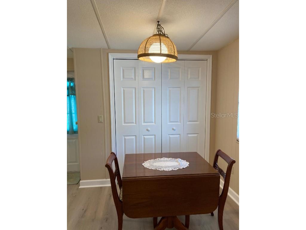 2824 Manatee Road Tavares FL 32778 O6359718 image19