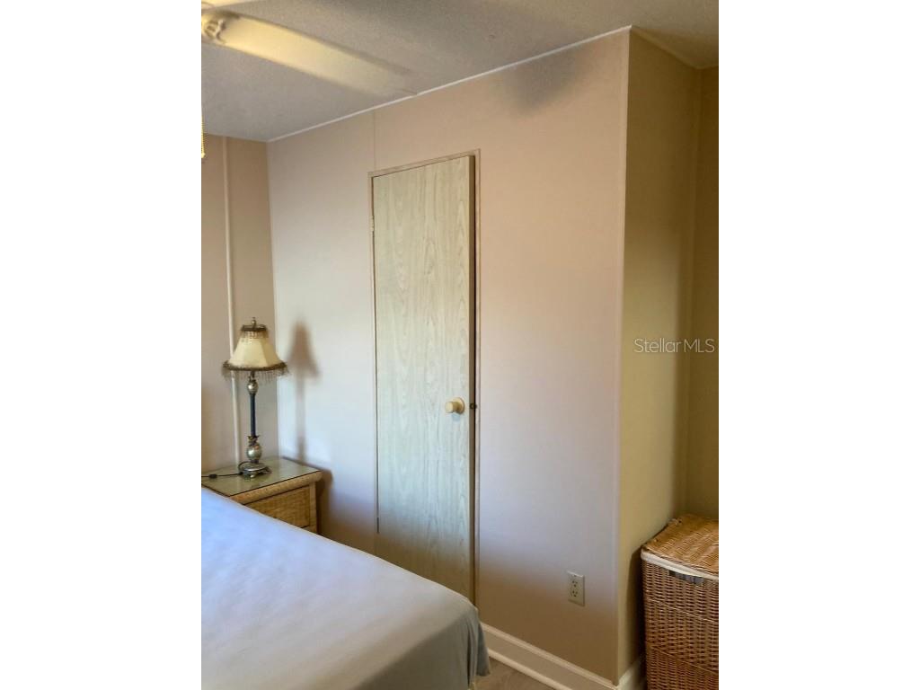 2824 Manatee Road Tavares FL 32778 O6359718 image27