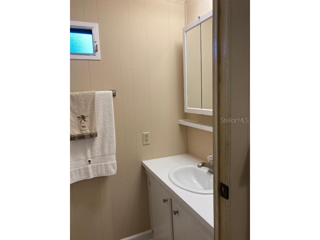 2824 Manatee Road Tavares FL 32778 O6359718 image30