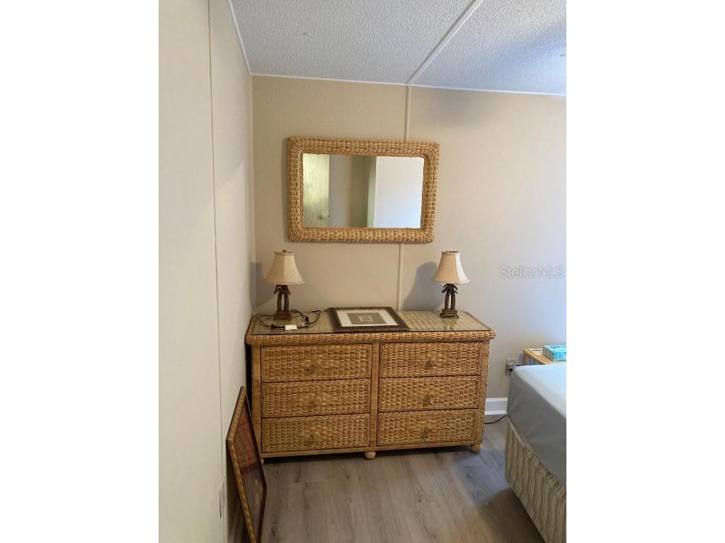 2824 Manatee Road Tavares FL 32778 O6359718 image36