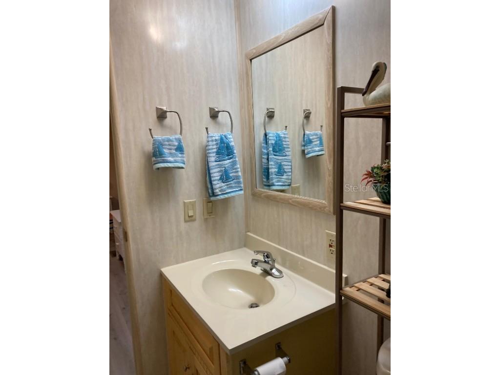 2824 Manatee Road Tavares FL 32778 O6359718 image38