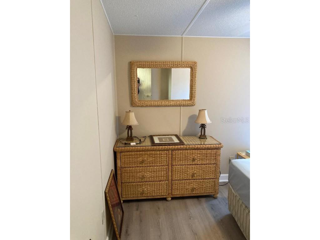 2824 Manatee Road Tavares FL 32778 O6359718 image39