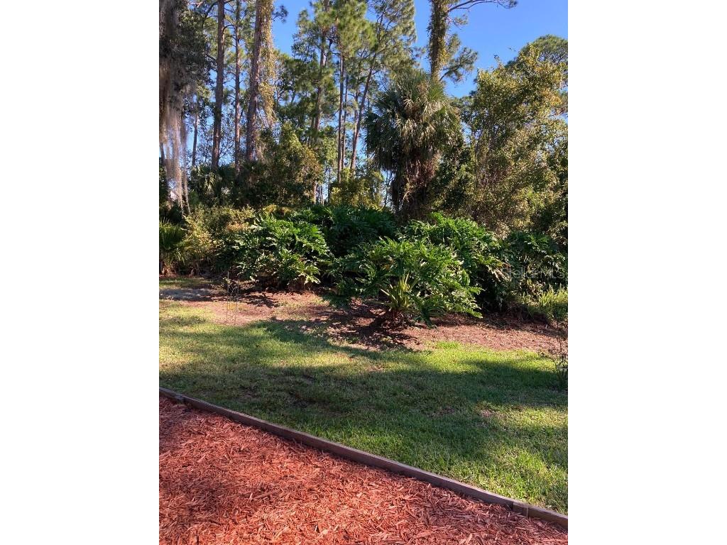 2824 Manatee Road Tavares FL 32778 O6359718 image8