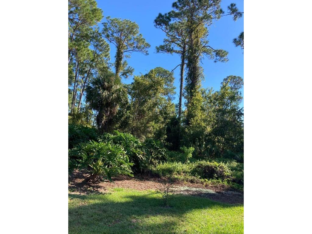 2824 Manatee Road Tavares FL 32778 O6359718 image9