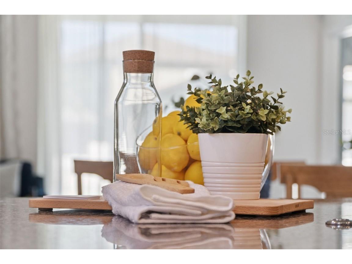 2824 Neverland Drive New Smyrna Beach FL 32168 O6356989 image7