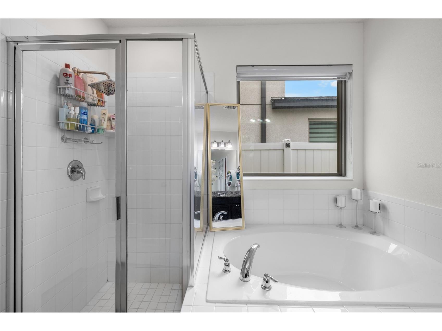 2824 Noble Crow Drive Kissimmee FL 34744 S5149494 image27