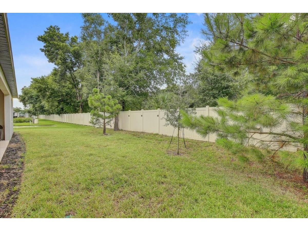 2824 Quail Crest Court Valrico FL 33594 TB8494182 image29