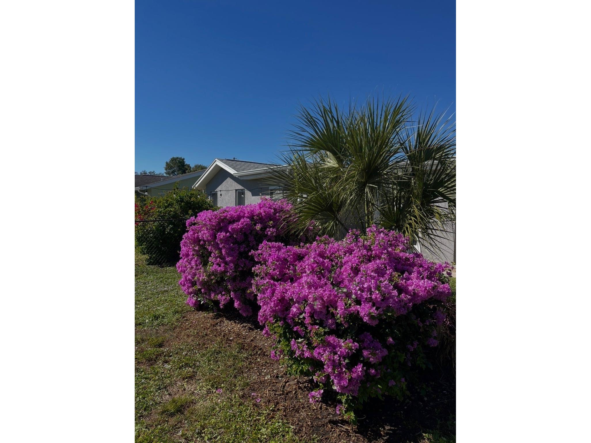 2824 Shannon Drive Punta Gorda FL 33950 A4691397 image71