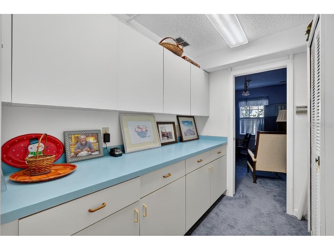 2824 Summervale Drive Holiday FL 34691 TB8435387 image22