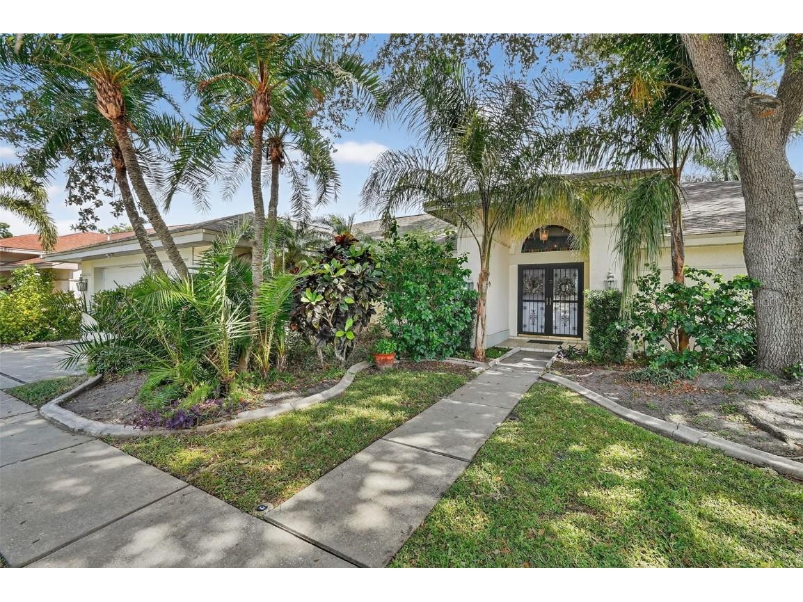 2824 Summervale Drive Holiday FL 34691 TB8435387 image3