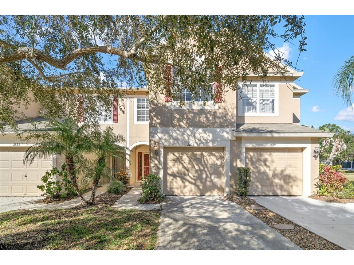 2825 Conch Hollow Drive Brandon FL 33511 T3503330 image1