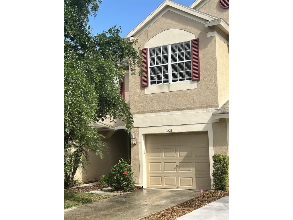 2825 Conch Hollow Drive Brandon FL 33511 T3521197 image1