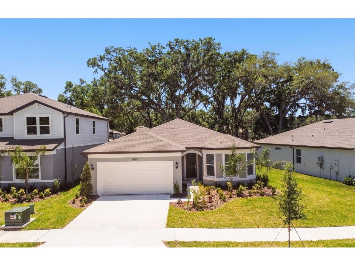 2825 Dolores Home Ave Lane Valrico FL 33594 T3484722 image1