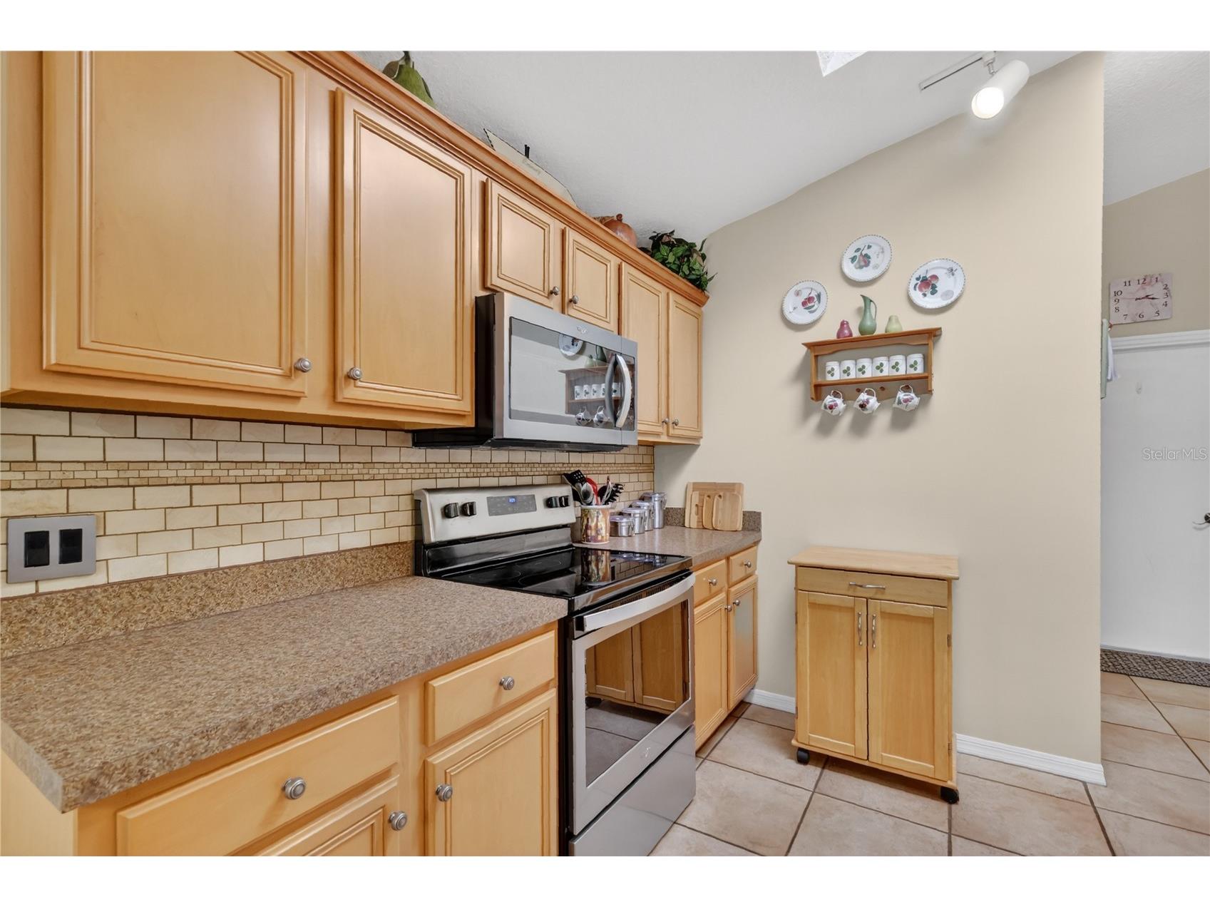2825 Hardenbergh Lane Eustis FL 32726 G5107021 image16