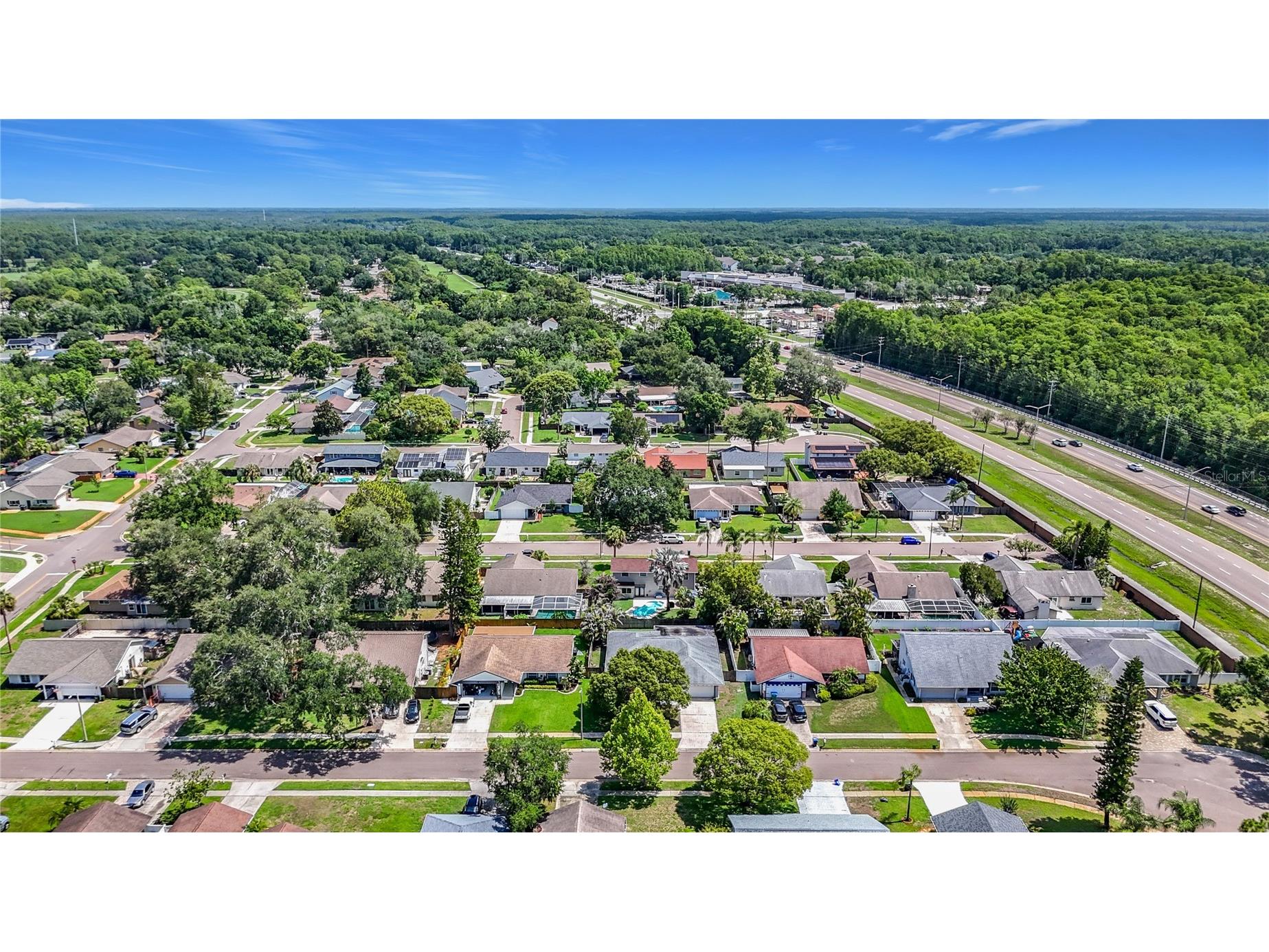 2825 Wendover Terrace Palm Harbor FL 34685 C7526434 image2