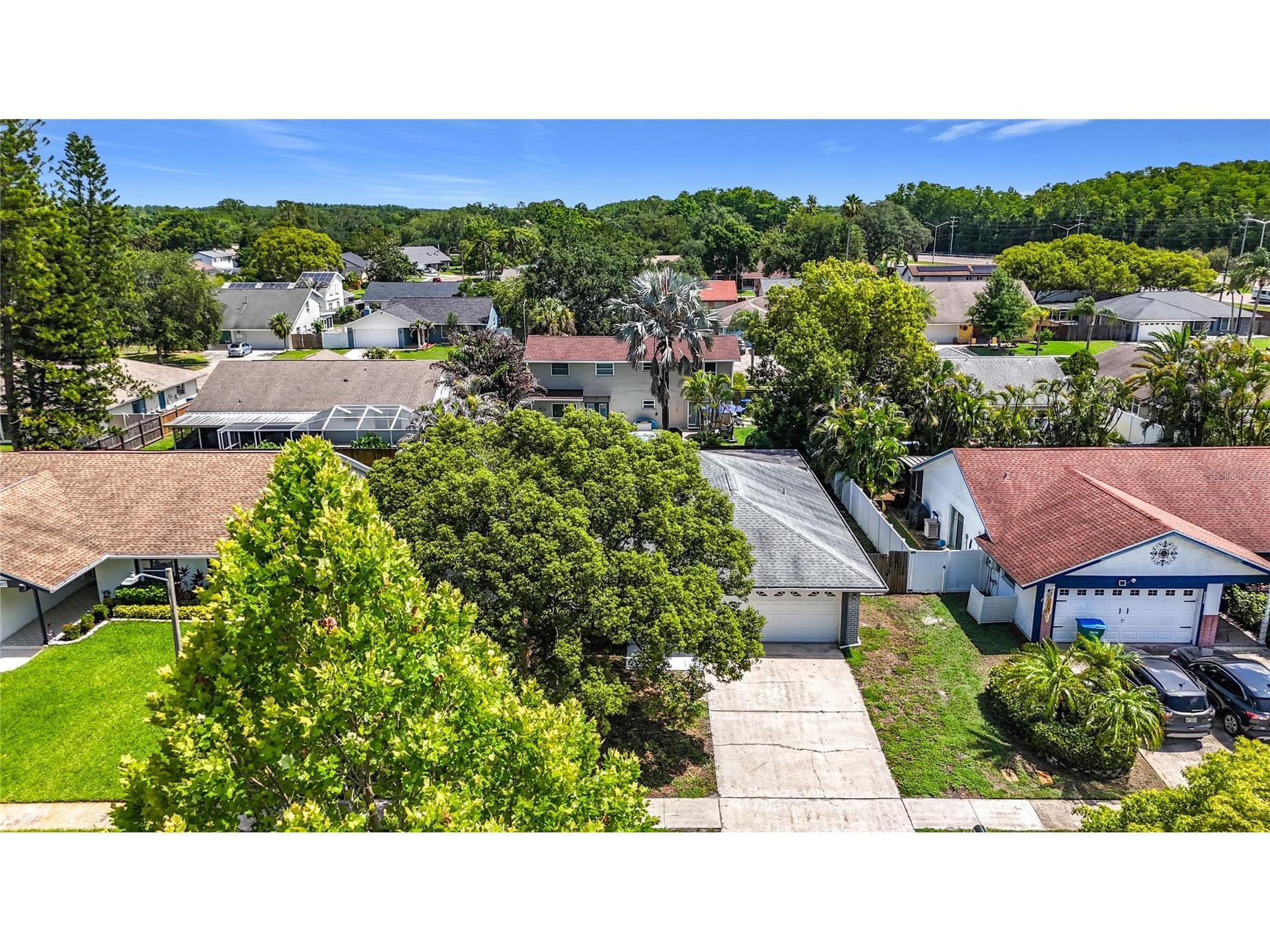 2825 Wendover Terrace Palm Harbor FL 34685 C7526434 image3