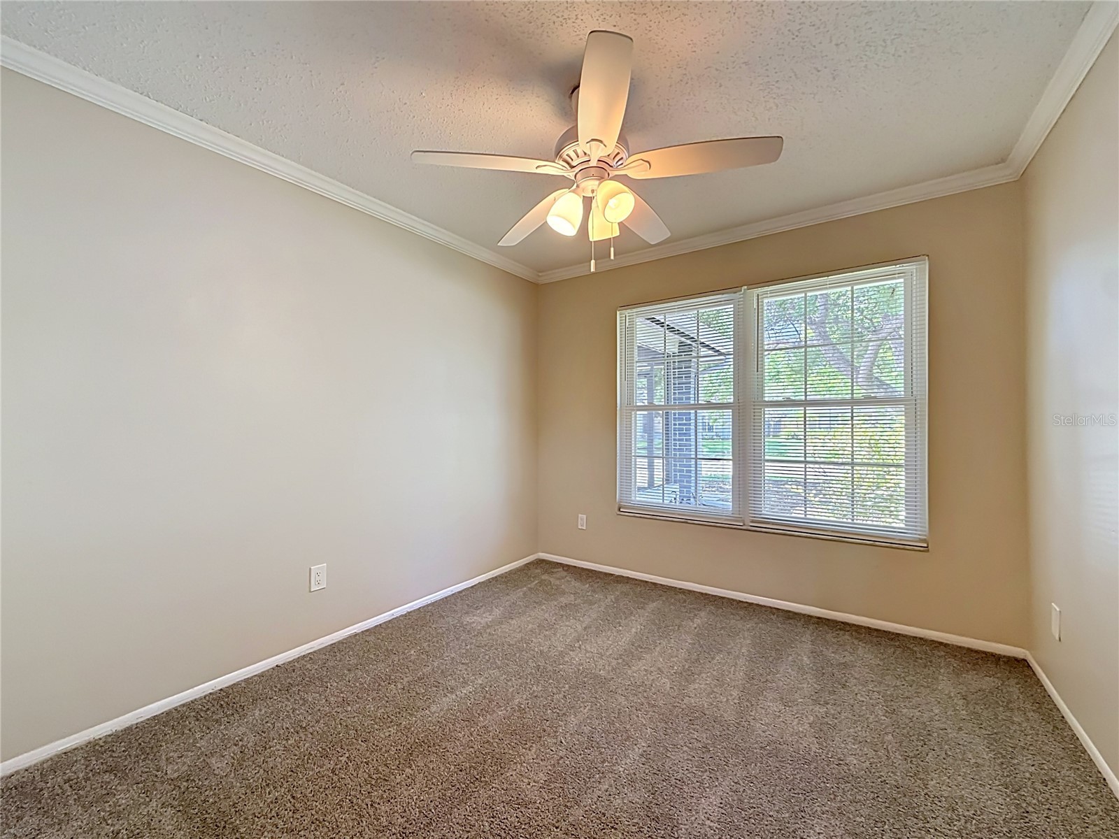 2825 Wendover Terrace Palm Harbor FL 34685 C7526434 image33