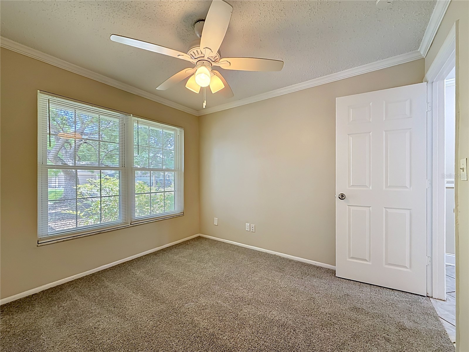 2825 Wendover Terrace Palm Harbor FL 34685 C7526434 image34