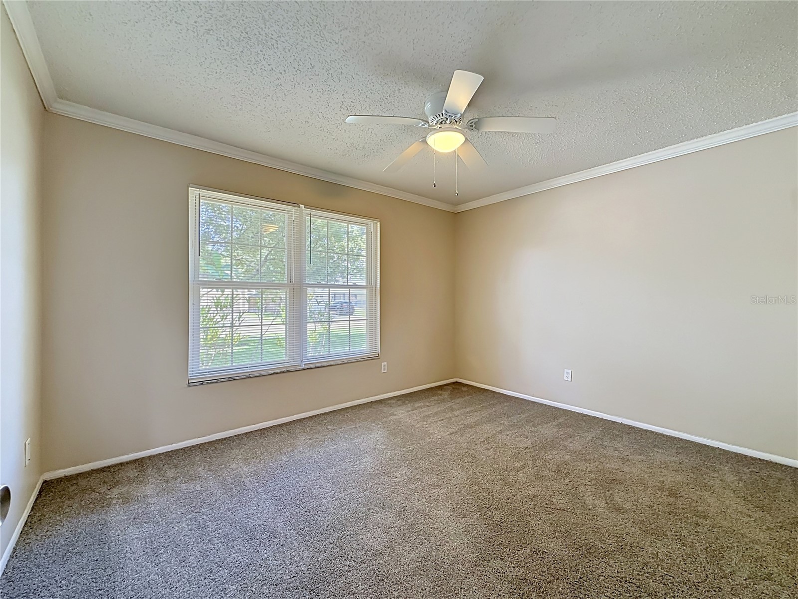 2825 Wendover Terrace Palm Harbor FL 34685 C7526434 image36