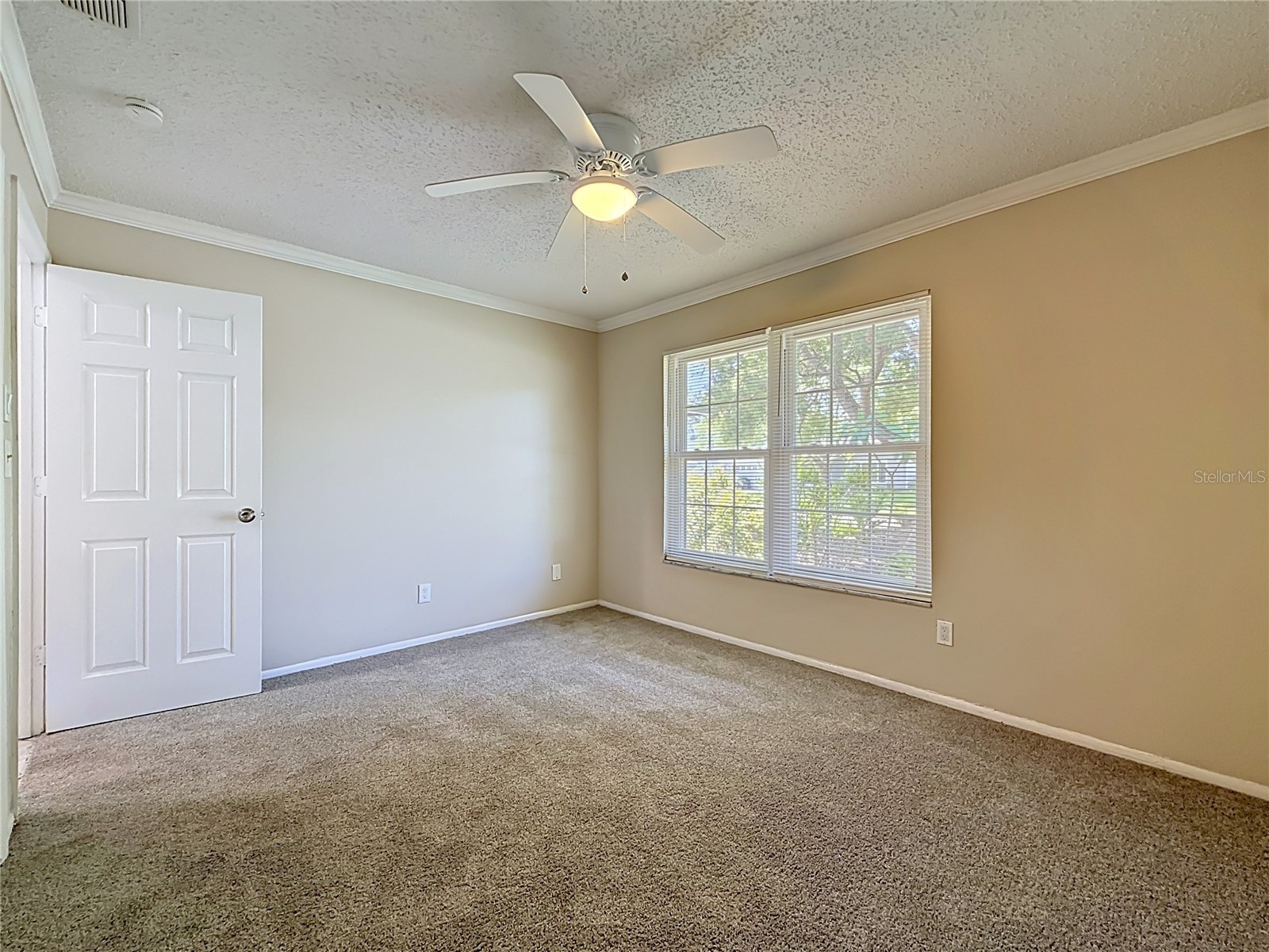 2825 Wendover Terrace Palm Harbor FL 34685 C7526434 image37