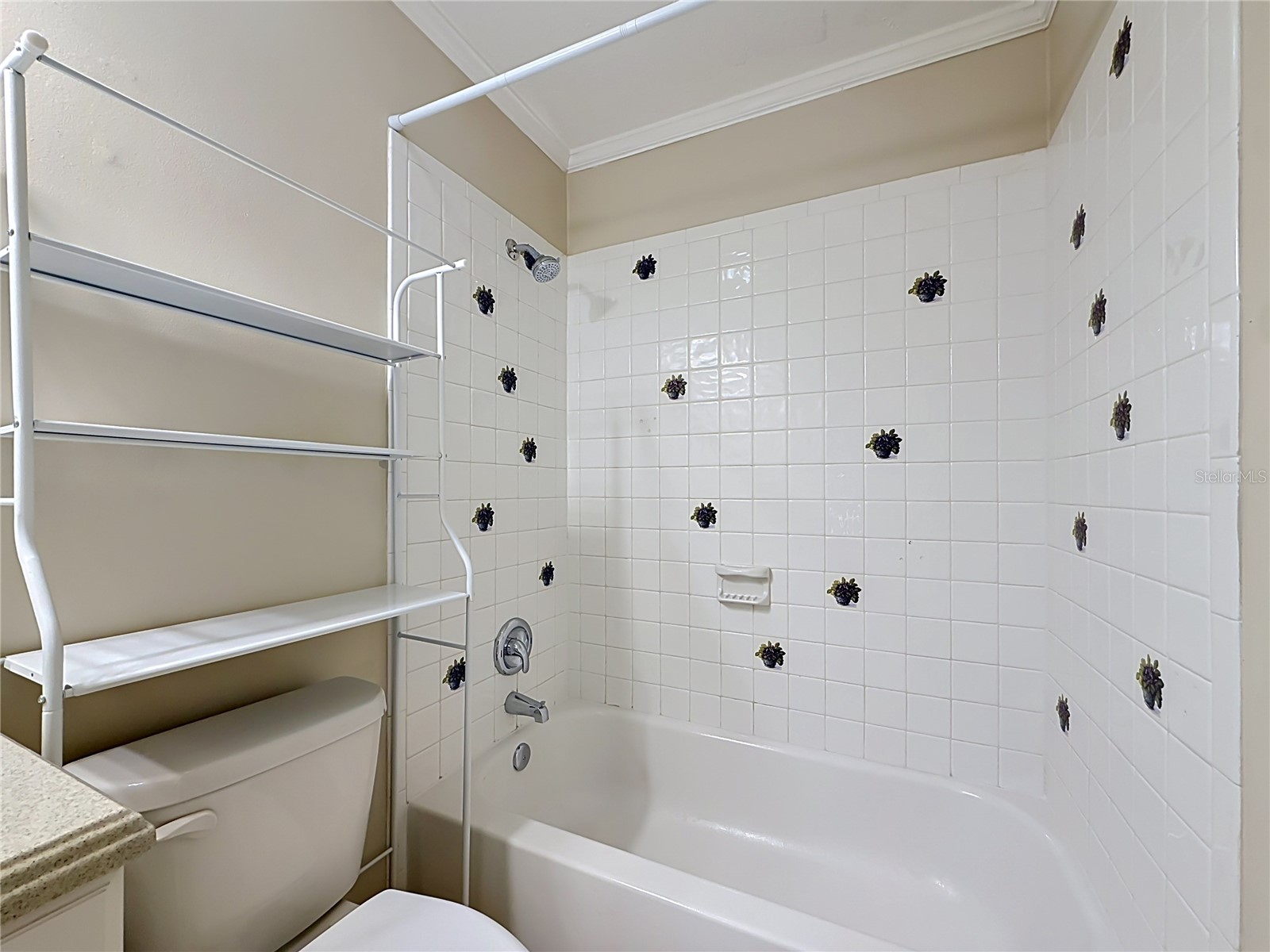 2825 Wendover Terrace Palm Harbor FL 34685 C7526434 image40