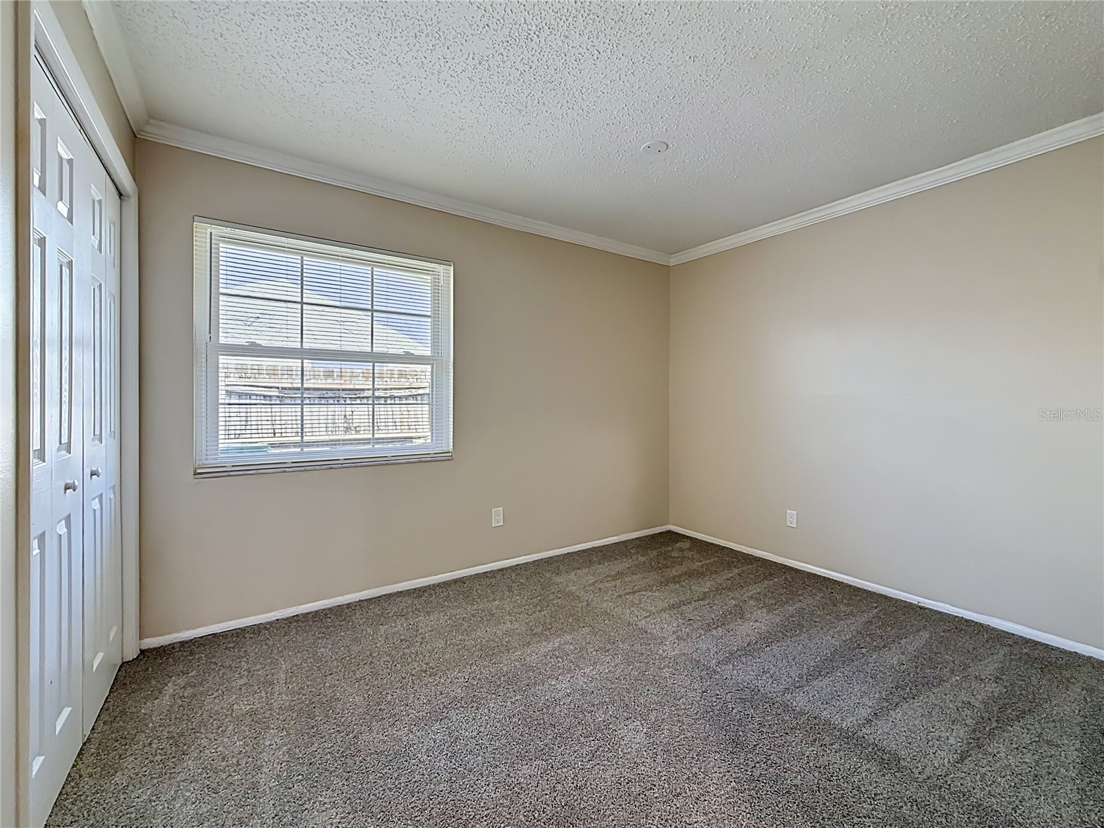 2825 Wendover Terrace Palm Harbor FL 34685 C7526434 image42