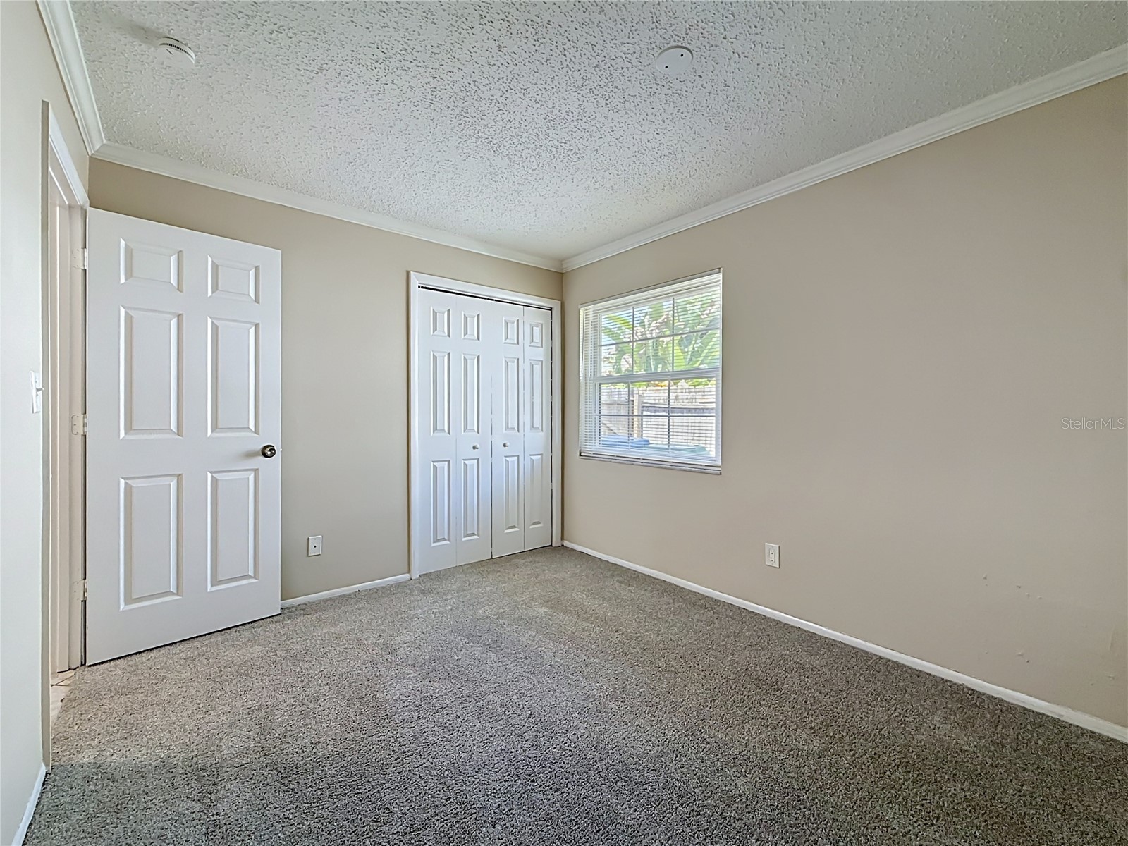 2825 Wendover Terrace Palm Harbor FL 34685 C7526434 image44