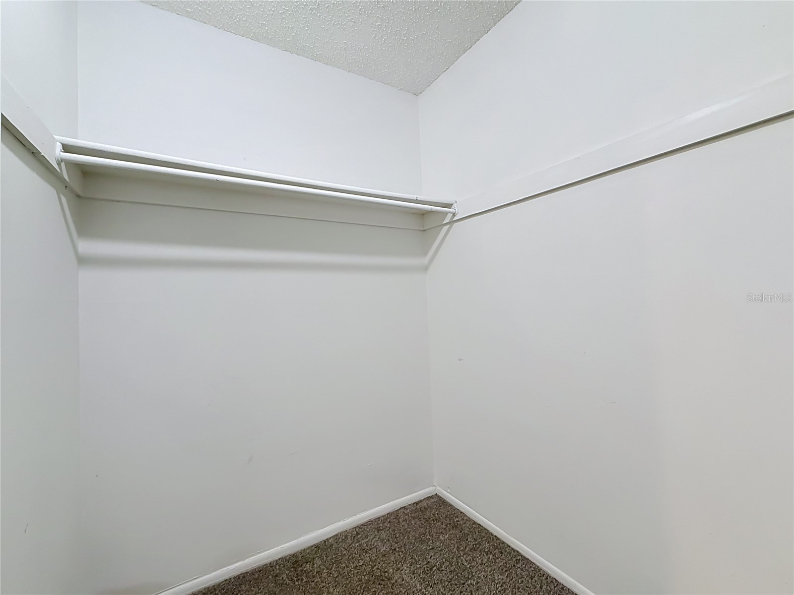 2825 Wendover Terrace Palm Harbor FL 34685 C7526434 image48