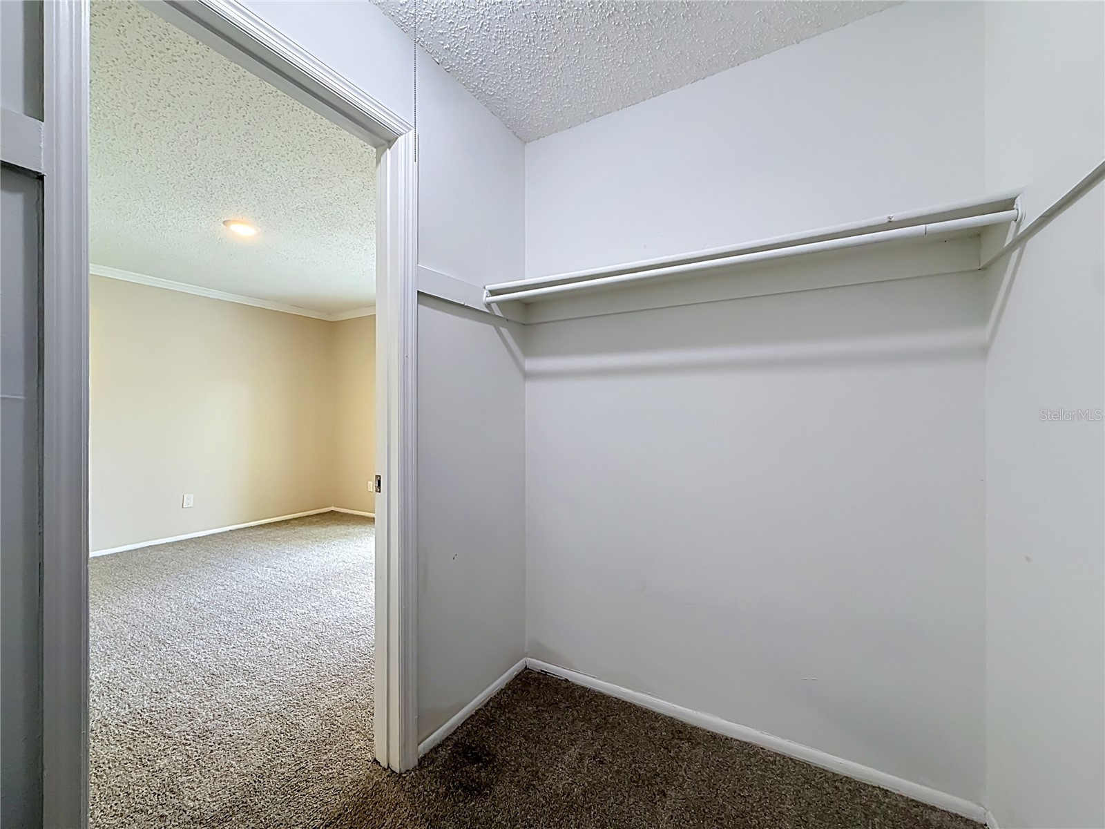 2825 Wendover Terrace Palm Harbor FL 34685 C7526434 image49